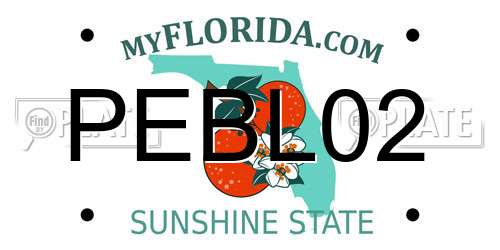PEBL02 Florida License Plate