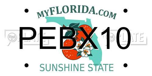 PEBX10 Florida License Plate