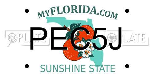 PEC5J Florida License Plate
