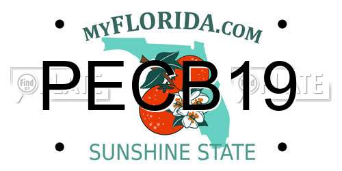 PECB19 Florida License Plate