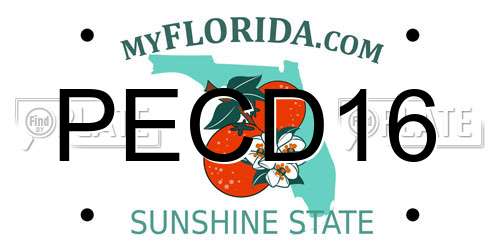 PECD16 Florida License Plate