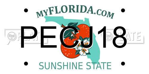 PECJ18 Florida License Plate