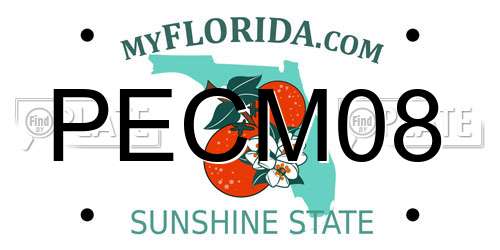 PECM08 Florida License Plate