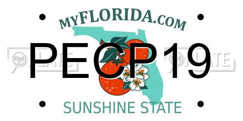 PECP19 Florida License Plate
