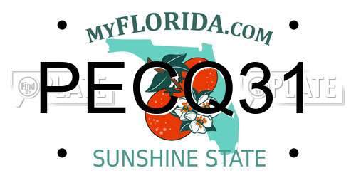 PECQ31 Florida License Plate