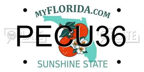 PECU36 Florida License Plate