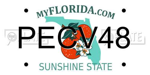 PECV48 Florida License Plate