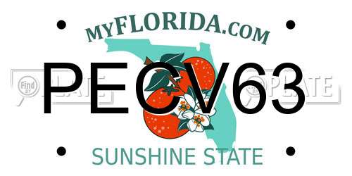 PECV63 Florida License Plate