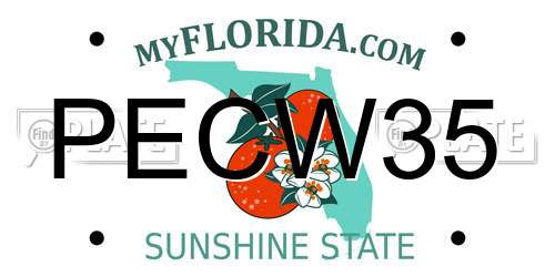 PECW35 Florida License Plate