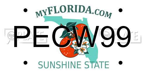 PECW99 Florida License Plate