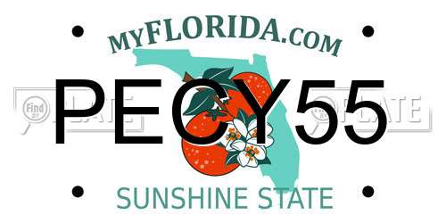 PECY55 Florida License Plate