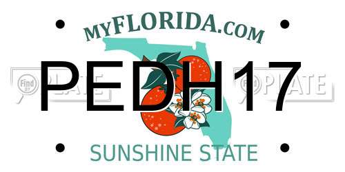 PEDH17 Florida License Plate