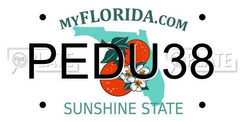 PEDU38 Florida License Plate