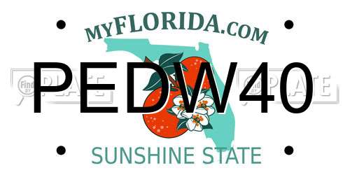PEDW40 Florida License Plate