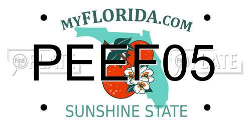 PEEF05 Florida License Plate