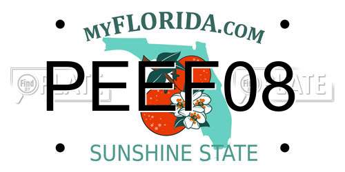 PEEF08 Florida License Plate