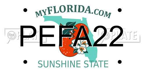 PEFA22 Florida License Plate