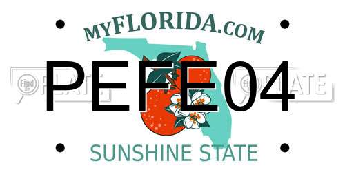 PEFE04 Florida License Plate