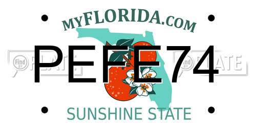 PEFE74 Florida License Plate