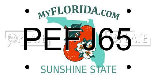 PEFJ65 Florida License Plate