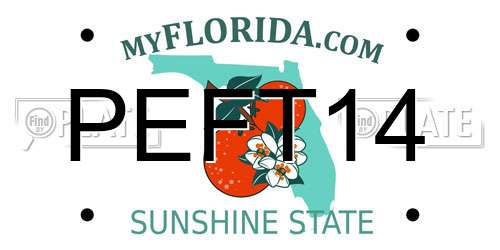 PEFT14 Florida License Plate