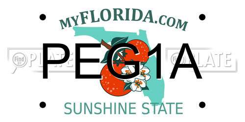 PEG1A Florida License Plate