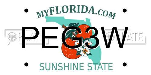 PEG3W Florida License Plate