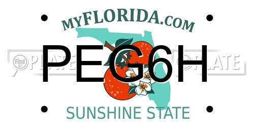 PEG6H Florida License Plate