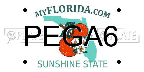 PEGA6 Florida License Plate
