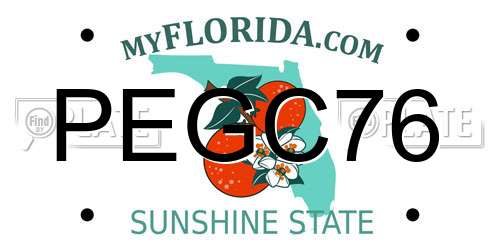 PEGC76 Florida License Plate