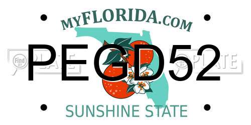PEGD52 Florida License Plate