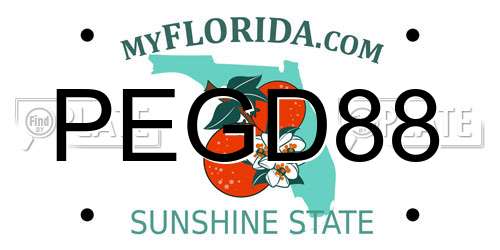 PEGD88 Florida License Plate