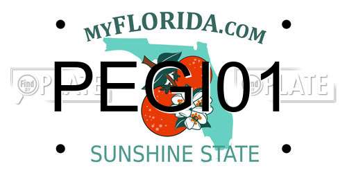 PEGI01 Florida License Plate