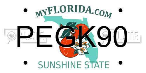 PEGK90 Florida License Plate