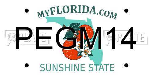 PEGM14 Florida License Plate