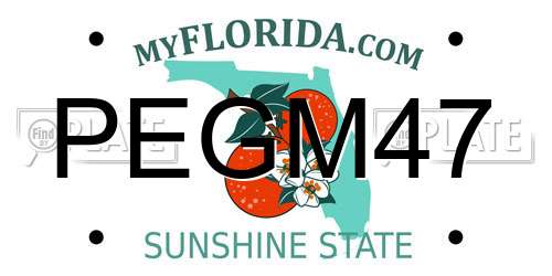 PEGM47 Florida License Plate