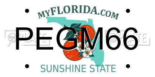 PEGM66 Florida License Plate