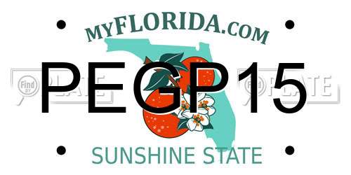 PEGP15 Florida License Plate