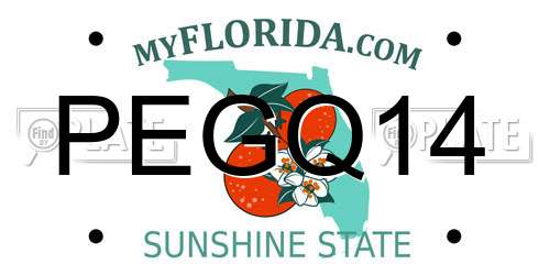 PEGQ14 Florida License Plate