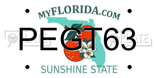 PEGT63 Florida License Plate