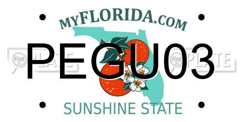 PEGU03 Florida License Plate
