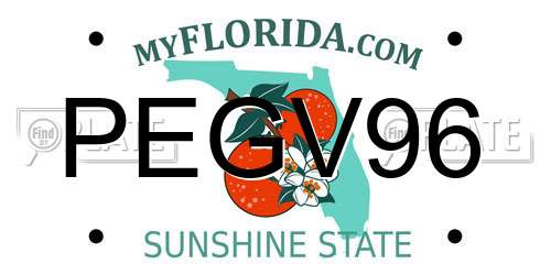 PEGV96 Florida License Plate
