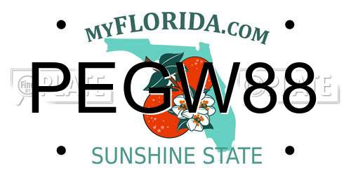 PEGW88 Florida License Plate