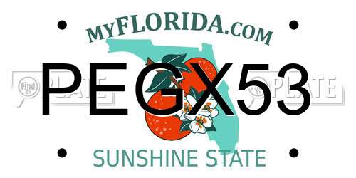 PEGX53 Florida License Plate