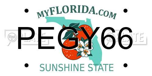 PEGY66 Florida License Plate