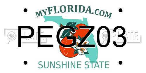 PEGZ03 Florida License Plate