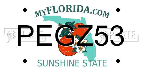 PEGZ53 Florida License Plate