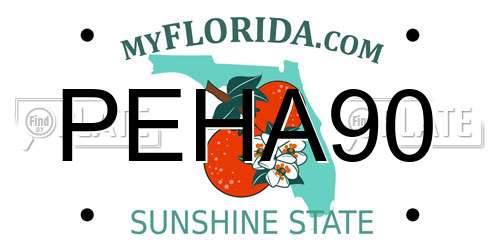 PEHA90 Florida License Plate