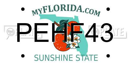 PEHF43 Florida License Plate