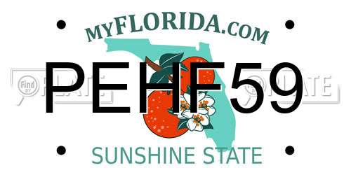 PEHF59 Florida License Plate